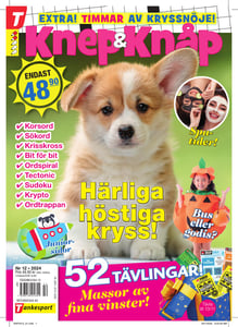 Knep & Knåp nr 12-24